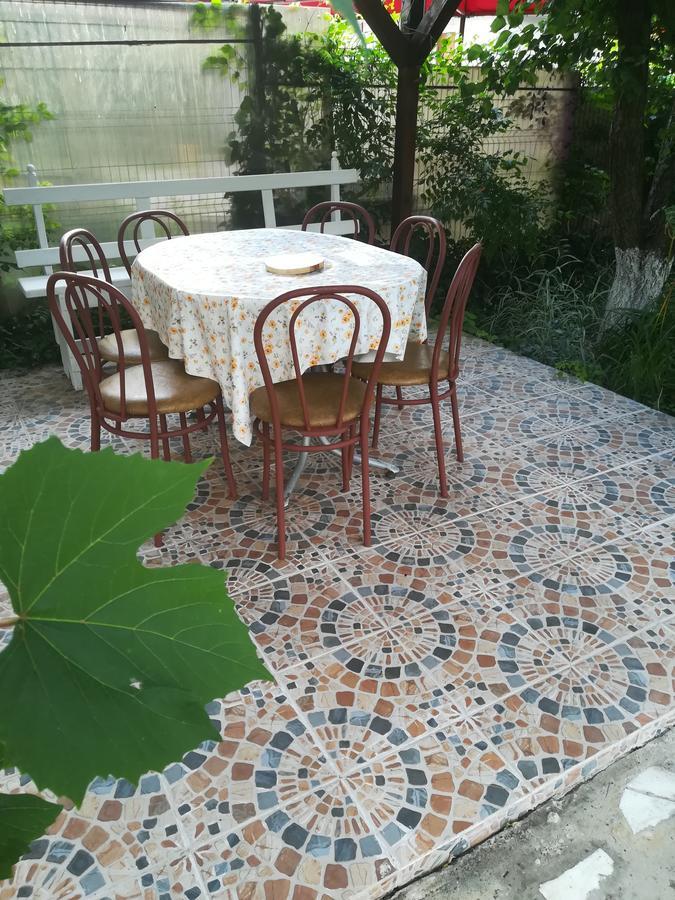 Отель Casa Dalena Костинешти Экстерьер фото