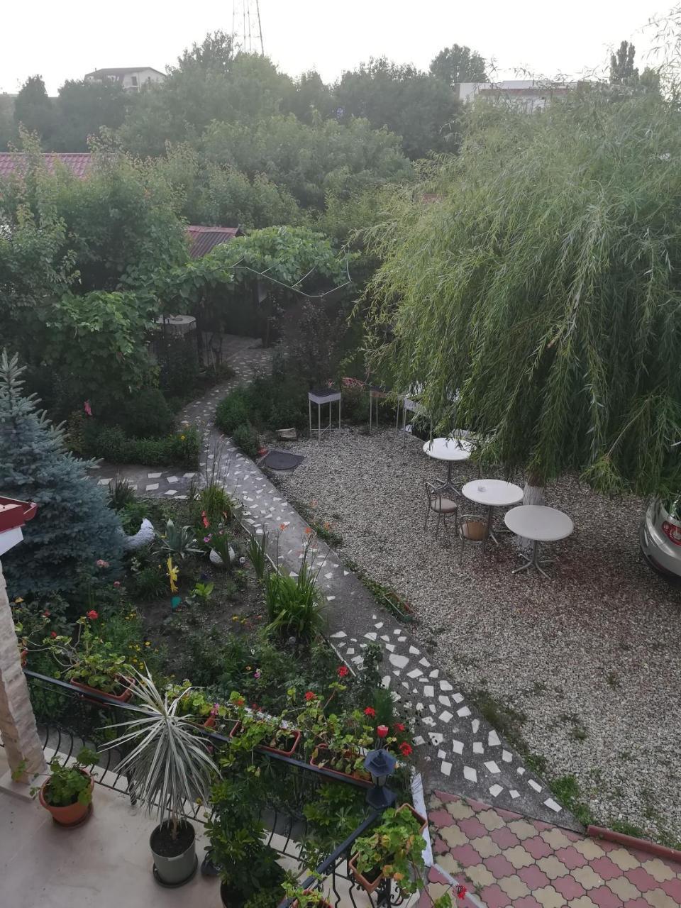 Отель Casa Dalena Костинешти Экстерьер фото